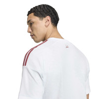 adidas Qatar Uitshirt 2026-2028