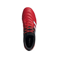 adidas COPA 20.1 Gras Voetbalschoenen (FG) Rood Wit Zwart