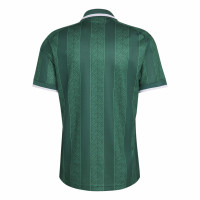 adidas Zuid-Afrika Uitshirt 2026-2028