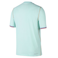 Nike Frankrijk Uitshirt Authentic 2026-2028