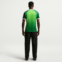 Nike Nigeria Thuisshirt 2026-2028