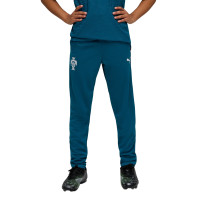 PUMA Portugal Pantalon d'Entraînement 2026-2028 Enfants Bleu-Vert Blanc