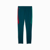 PUMA Portugal Trainingsbroek 2026-2028 Blauwgroen Wit