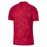 Nike Polen Uitshirt Fans 2026-2028