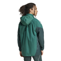 Veste adidas Tiro 25 Competition Allweather Vert foncé