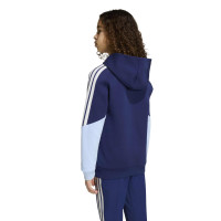 Sweat à capuche adidas Ajax 2026-2027 pour Enfants, bleu foncé, bleu clair