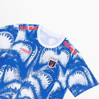 Capelli Kaapverdië Pre-Match Trainingsshirt 2026-2028 Blauw Wit Rood