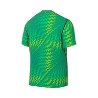 Nike Dri-FIT Gardien VI Keepersshirt Lichtgroen Wit