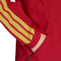 adidas Belgique Anthem Veste d'Entraînement 2026-2028 Rouge Jaune Noir