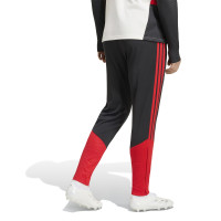 Pantalon d'entraînement adidas Benfica 2026-2027 noir rouge