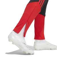 Pantalon d'entraînement adidas Benfica 2026-2027 noir rouge
