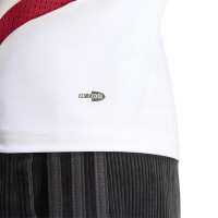 Maillot domicile adidas Allemagne 2007