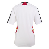 Maillot domicile adidas Allemagne 2007