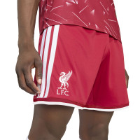 adidas Liverpool Thuisset 2026-2027