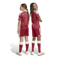 adidas Liverpool Thuistenue 2026-2027 Kids