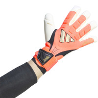adidas Predator Pro HYS Keepershandschoenen Felroze Zilvergrijs Zwart Goud