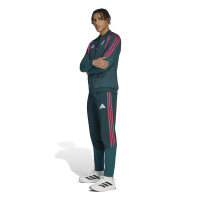 Pantalon d'entraînement adidas Real Madrid Presentation 2026-2027, vert foncé, rose, blanc