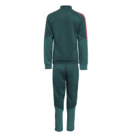 adidas Real Madrid Trainingspak 2026-2027 Peuters/Kleuters Donkergroen Roze Wit