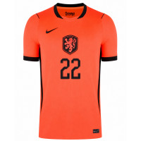 Nike Nederland Dumfries 22 Thuisshirt 2026-2028