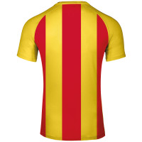 Sporting Martinus Wedstrijdshirt Jeugd/Senioren Geel Rood