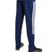 Playmind Sports Trainigs Pant Navy