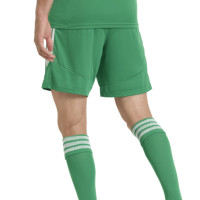Playmind Sports Keeper Short Groen