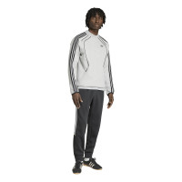 adidas Spacer Crew Sweater Grijs Zwart