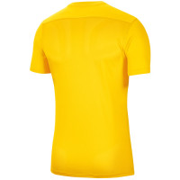 HV Hoorn Uit Keepersshirt Geel Senior