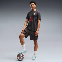 Chemise d'entraînement PUMA AC Milan 2026-2027 gris foncé rouge