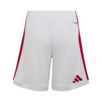 adidas Ajax Thuistenue 2026-2027 Kids