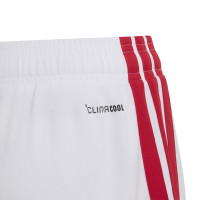 adidas Ajax Thuisset 2026-2027 Kids