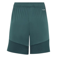 adidas Jude Bellingham Trainingsset Kids Wit Donkergroen Zwart Roze