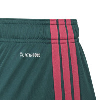 adidas Jude Bellingham Trainingsset Kids Wit Donkergroen Zwart Roze