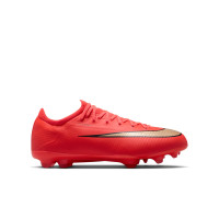 Nike Mercurial Vapor 17 Pro Gras Voetbalschoenen (FG) Kids Felrood Zwart Goud