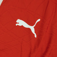 Haut d'entraînement PUMA Morocco 1/4-Zip 2026-2028 Rouge Blanc