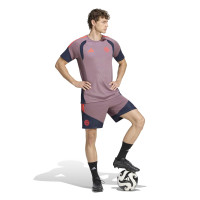 adidas Bayern München Europees Trainingsshirt 2026-2027 Lichtpaars Zwart Rood