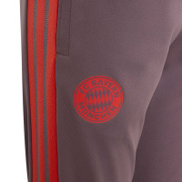 adidas Bayern München Europees Trainingsbroek 2026-2027 Kids Lichtpaars Zwart Rood
