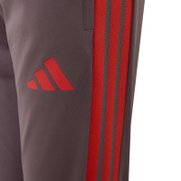 adidas Bayern München Europees Presentatie Trainingspak 2026-2027 Kids Lichtpaars Zwart Rood