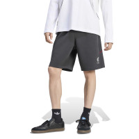 adidas Liverpool Originals Zomerset Donkergrijs Zilver Rood
