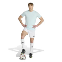 Maillot de football adidas Entrada 26 vert menthe blanc