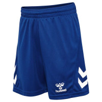 Hummel LOGO Trainingsset Kids Blauw