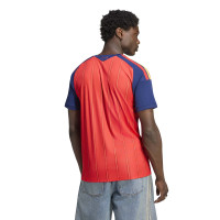Vainqueurs des maillots adidas Spain Home 2026-2028