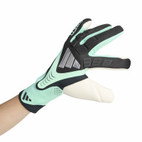 adidas Predator Pro Keepershandschoenen Zwart Mintgroen Zilver