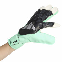 adidas Predator Training Keepershandschoenen Zwart Mintgroen Zilver