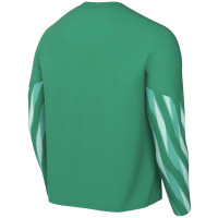 LVV Football Factory Keepersshirt Senior Groen