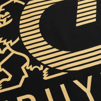 Sweat à capuche Cruyff C-lion Alpha noir doré