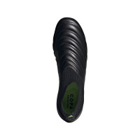 adidas COPA 20+ GRAS VOETBALSCHOENEN (FG) Zwart Zwart Groen