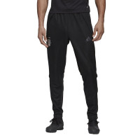 Pantalon d'entraînement adidas Argentina 2020-2021 Noir Réfléchissant Gris Blanc