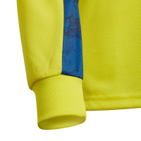 adidas adipro 20 maillot de gardien de but manches longues enfant jaune bleu