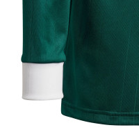 Adidas TABELA 18 Maillot de foot à manches longues pour enfant Vert Blanc